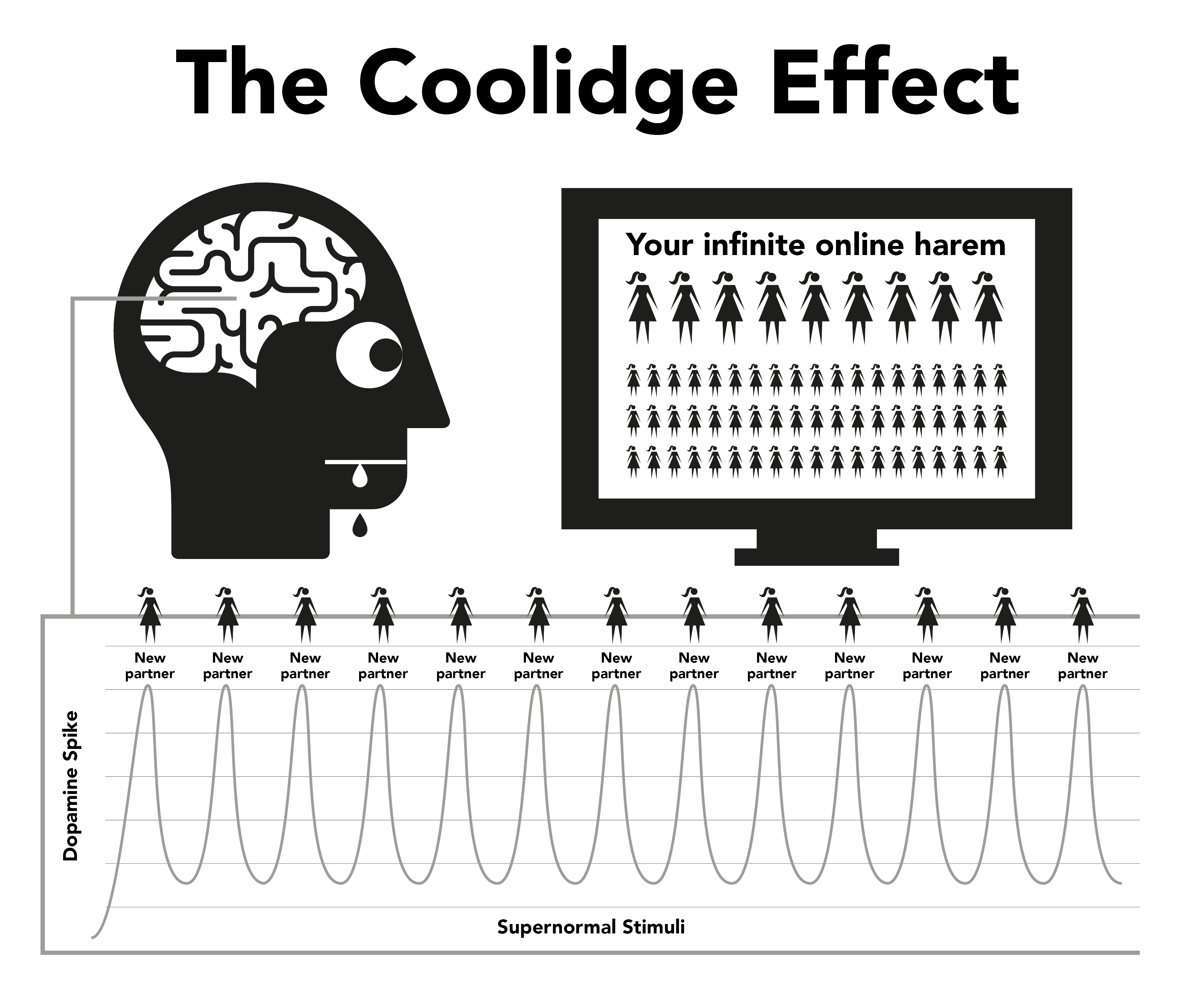 Coolidge Effect graphic