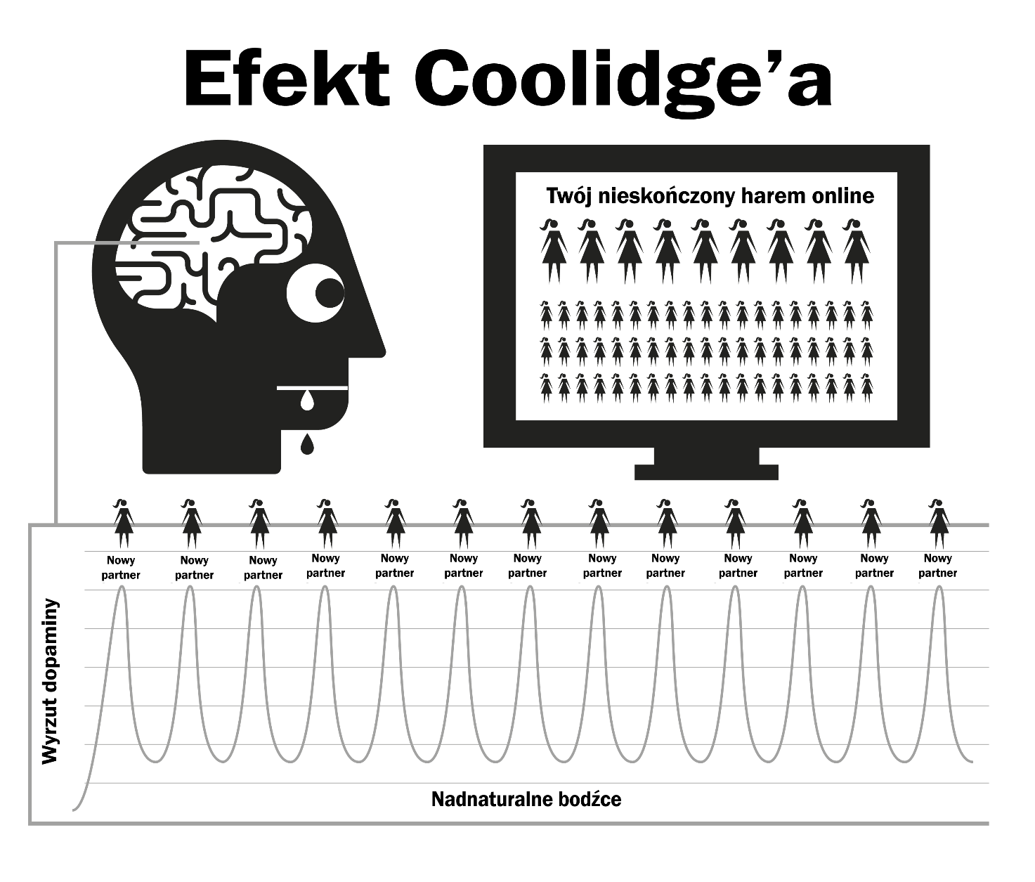 Efekt Coolidge’a - grafika