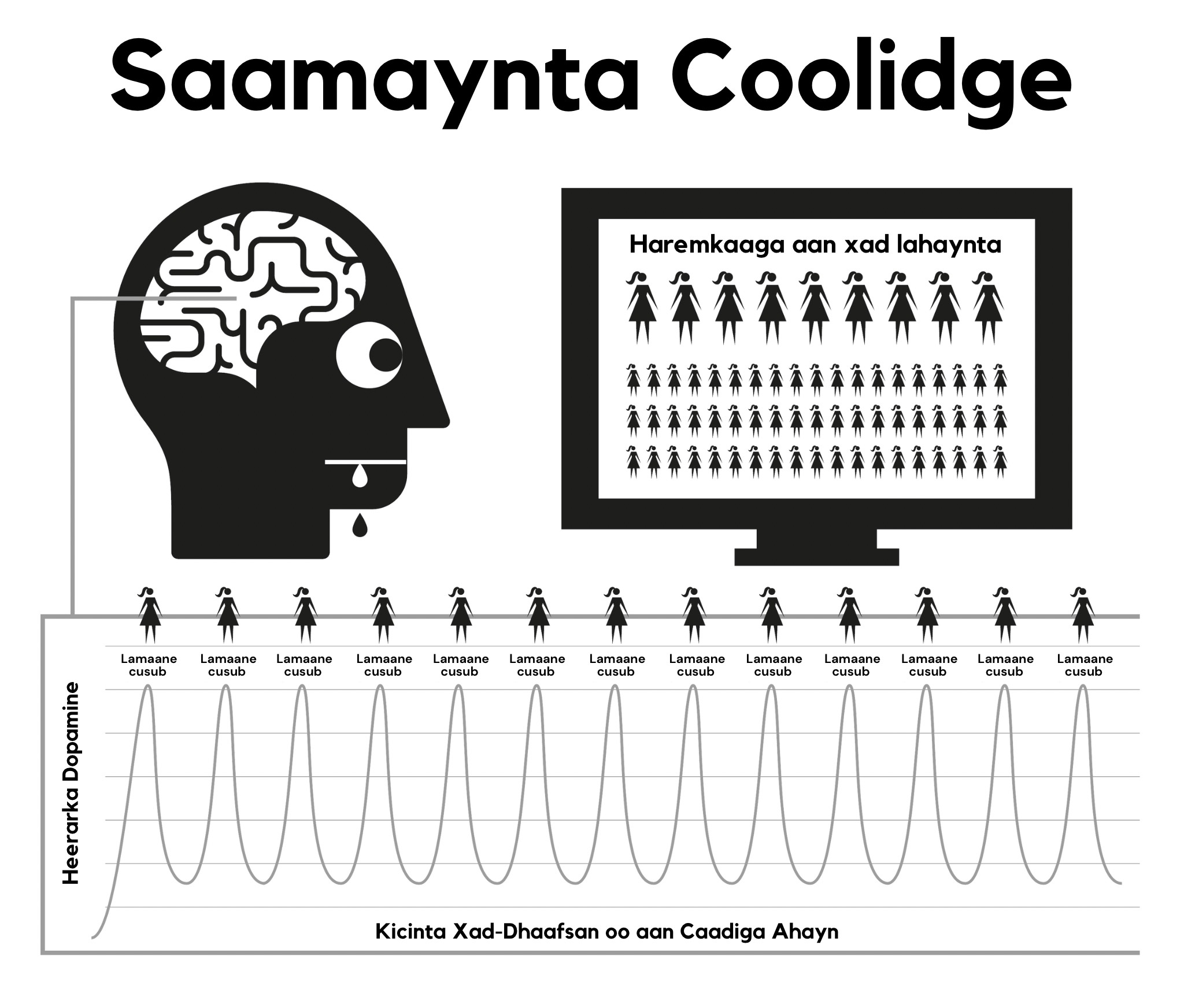 The Coolidge Effect graphic